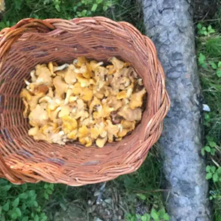 Casa En La Molina (Girona)